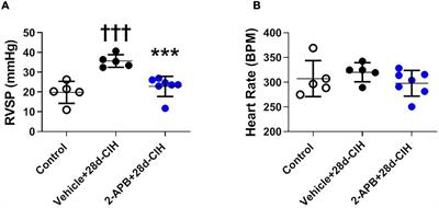 Crucial Role of Stromal Interaction Molecule-Activated TRPC-ORAI Channels in Vascular Remodeling and Pulmonary Hypertension Induced by Intermittent Hypoxia